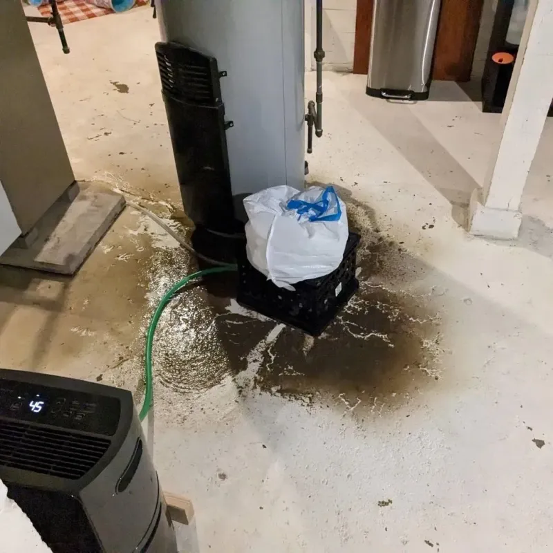 Sewage Backup Cleanup Service in Thayer, MO